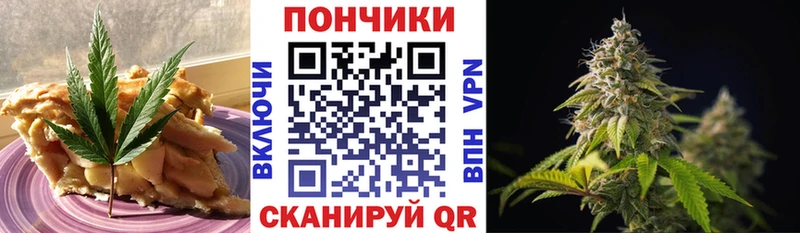 магазин продажи наркотиков  Фрязино  Еда ТГК марихуана 