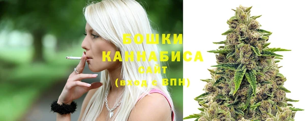 хмурый Арсеньев