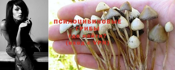 дживик Надым