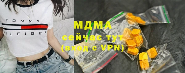 хмурый Арсеньев
