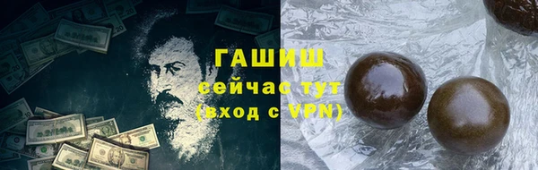 хмурый Арсеньев
