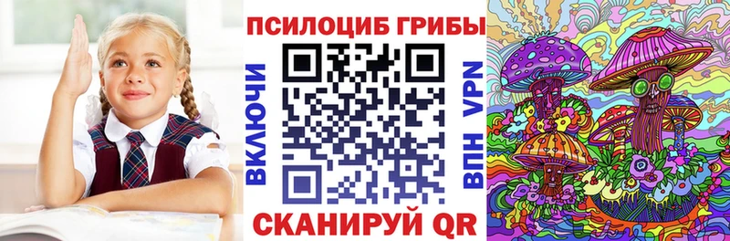 что такое наркотик Фрязино Псилоцибиновые грибы MAGIC MUSHROOMS